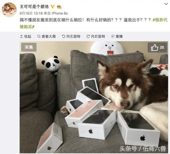 娱乐圈吃瓜小狗小说在线阅读,吃瓜小狗的甜蜜复仇之旅