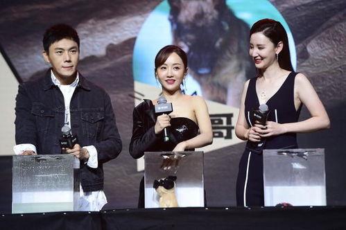 明星娱乐圈吃瓜视频合集,明星吃瓜视频大合集